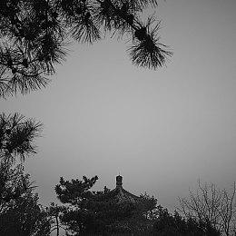 育碧确认《幽灵行动》全新作将在明日凌晨1点公布